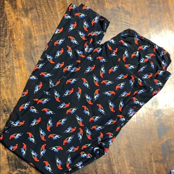 New LulaRoe TC Blue Jay & Cardinal bird leggings - Picture 1 of 2